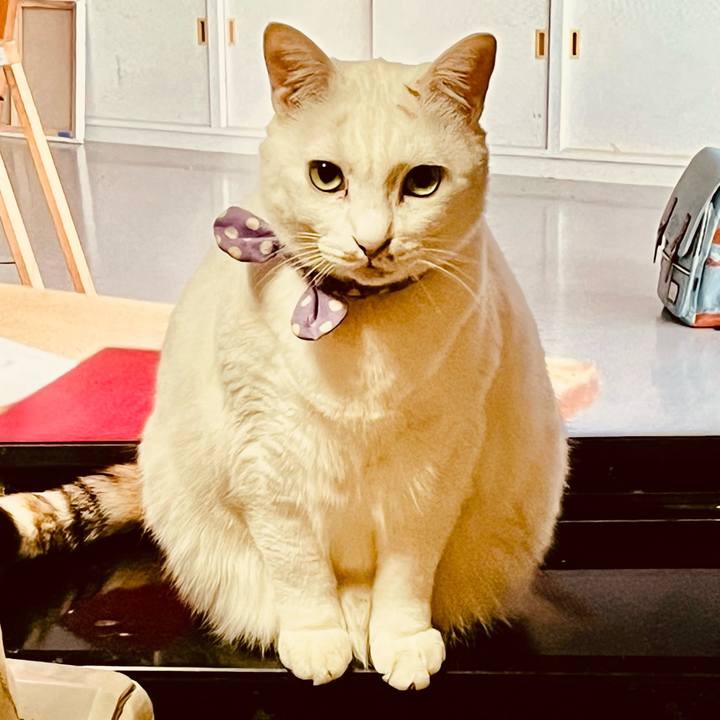 68c6b733 b97a 45d2 bd69 a8929e7203a3 1768763373785