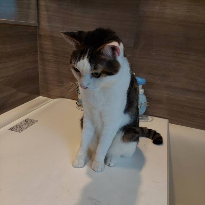 68c6dd83 4ef8 4d53 8fd6 dca8c0a94631 1699608134122