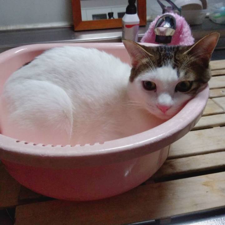 68c731d1 4ae7 42c8 8452 edb14ca3348d 1677321060475