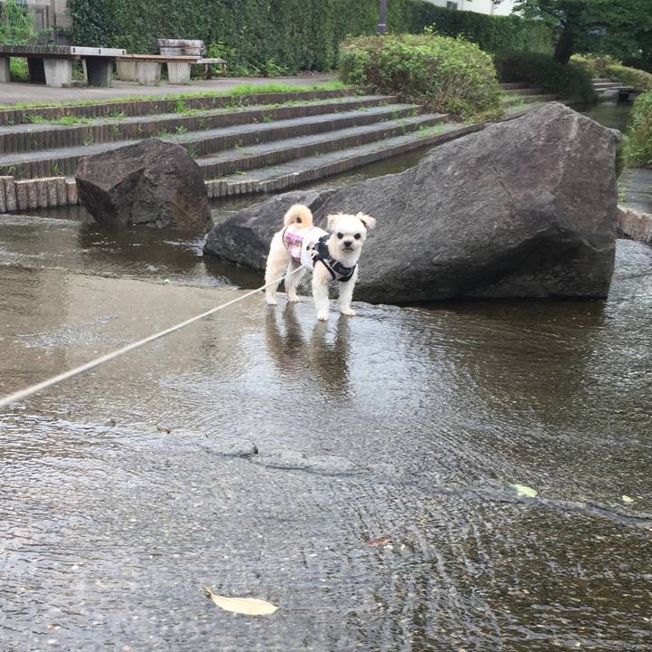 68c77953 b237 4e2d 9867 acb8de596450 1563608285618