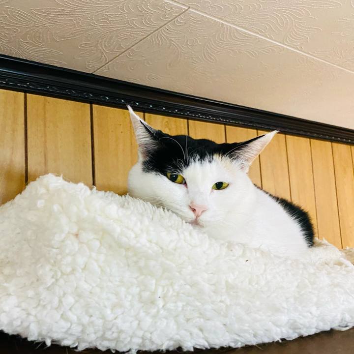 68c78401 8355 4830 9262 71302c8b704b 1697803837216