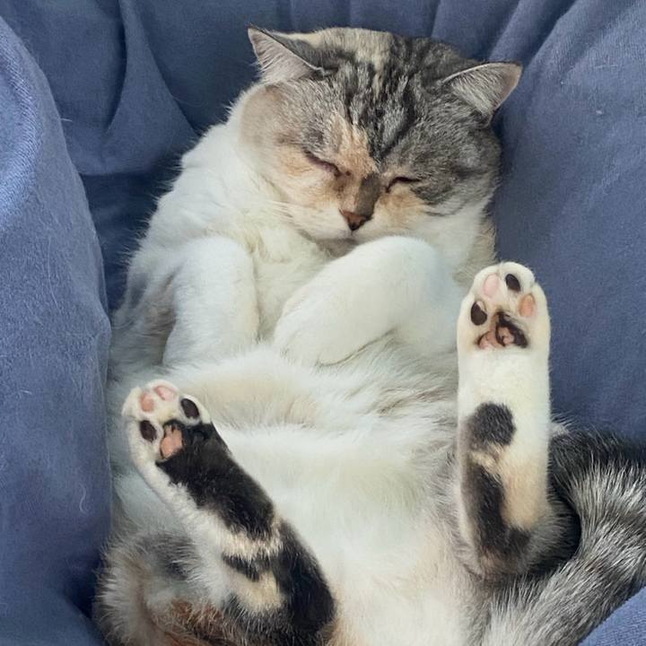 68c7891b 41d1 455e a4bc 38e0dbd6a7bf 1735738930035