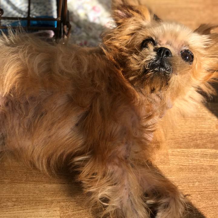 68c79bde dadf 4505 bf26 5c5138c17199 1569891188762