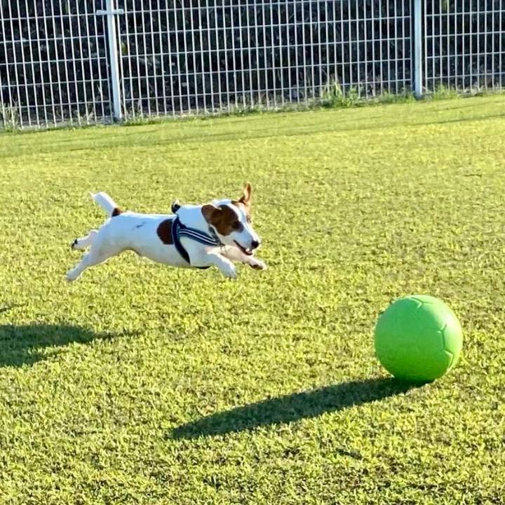 68c79be1 d603 4d52 86c1 72ee5a8edd82 1665488045884