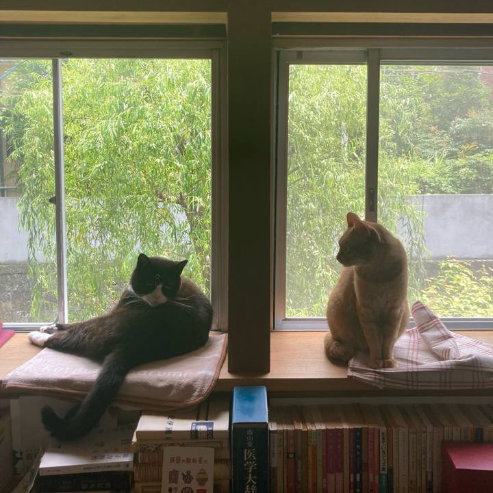 68c7a0a7 7aa9 43ff a0f7 7b58f230545f 1624459172088