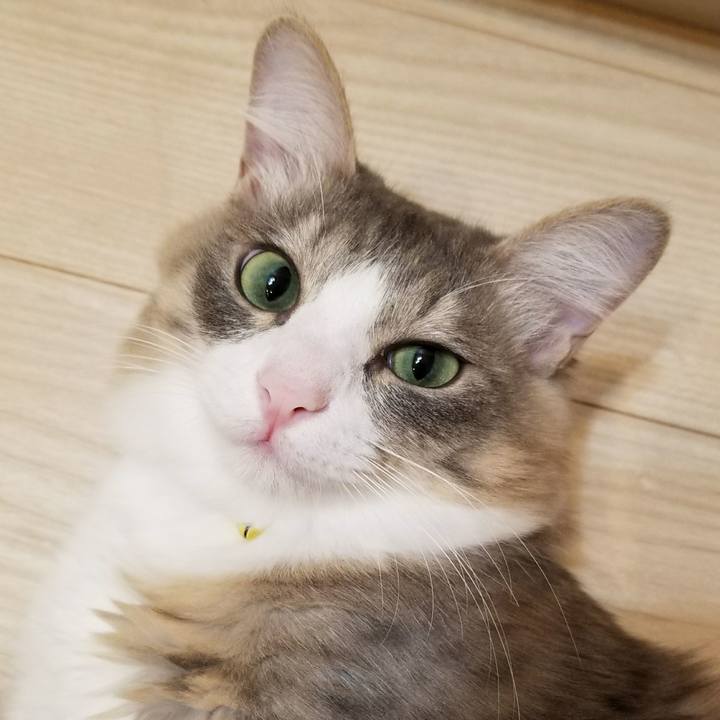 68c7b061 c514 4b49 837c c572032b4f61 1522594887047