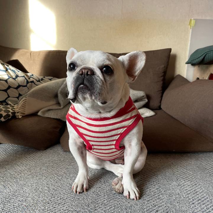 68c7c3a2 bee7 49bd 92be b7d064016ab7 1734388418163