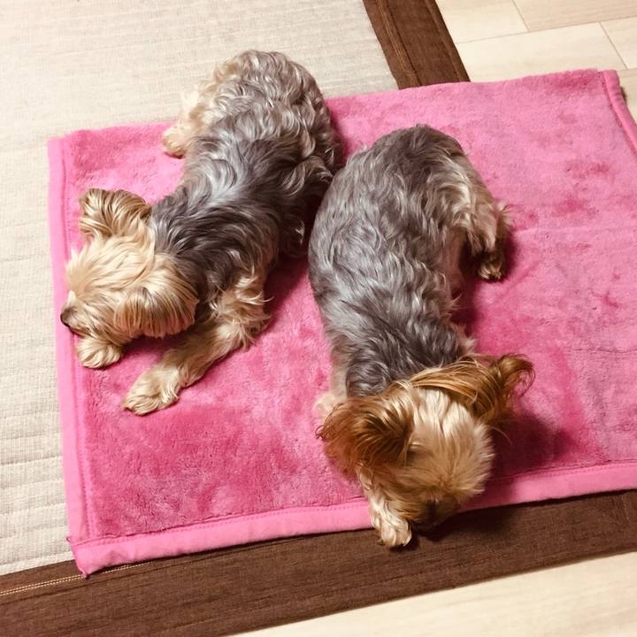 68c7c71b a0f4 4542 a71b 232476cb1b3b 1539945611667