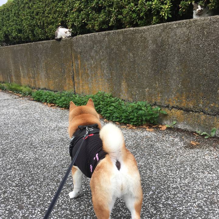 68c7d3ff ea95 498f b626 16900066d370 1613217901308