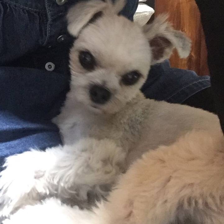 68c7f1ff b7a5 41fa 852d 85b85111a207 1541075165994