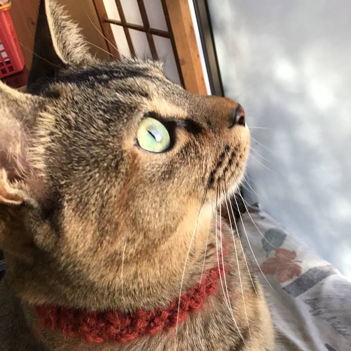 68c80f4b 5c8d 4679 b3d8 55b498892471 1640649185437