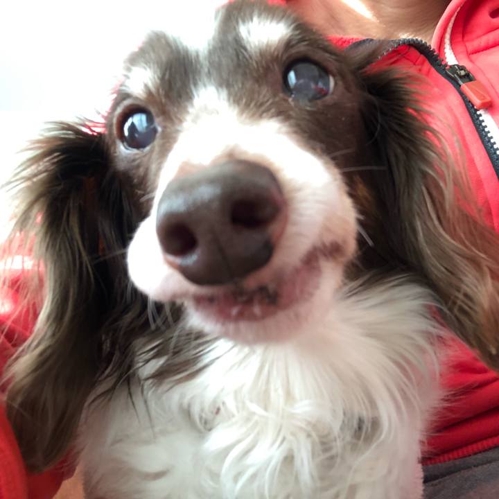 68c85dc8 2814 4157 8ac2 ea17673fc74e 1581393397286