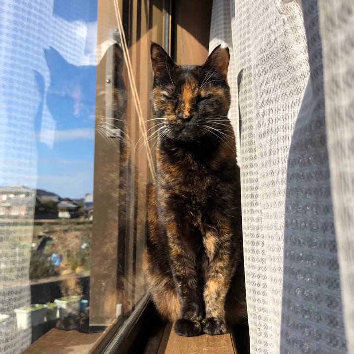 68c88f94 5c5b 4b90 b9fb 8e1d38cb0f69 1707963850118