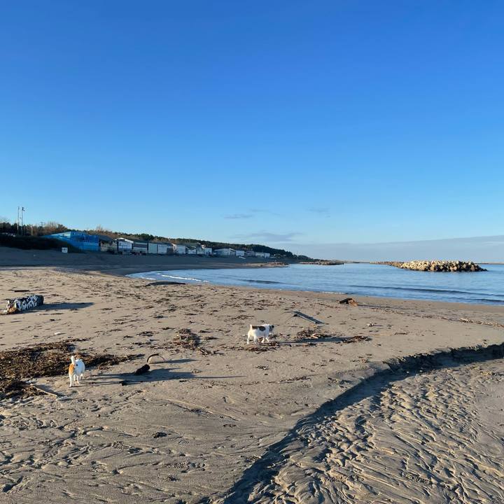 68c8b934 b0af 4823 a2db eb8258610cb2 1762385059349