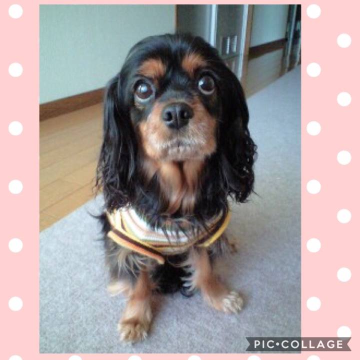 68c8c098 a20c 4efe 8647 c459ef6a0667 1542376813201