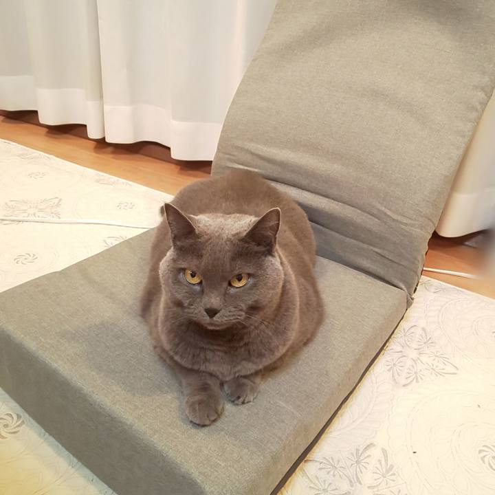 68c8d80d 76dd 4938 8700 2b8c1edf92cd 1760706619314