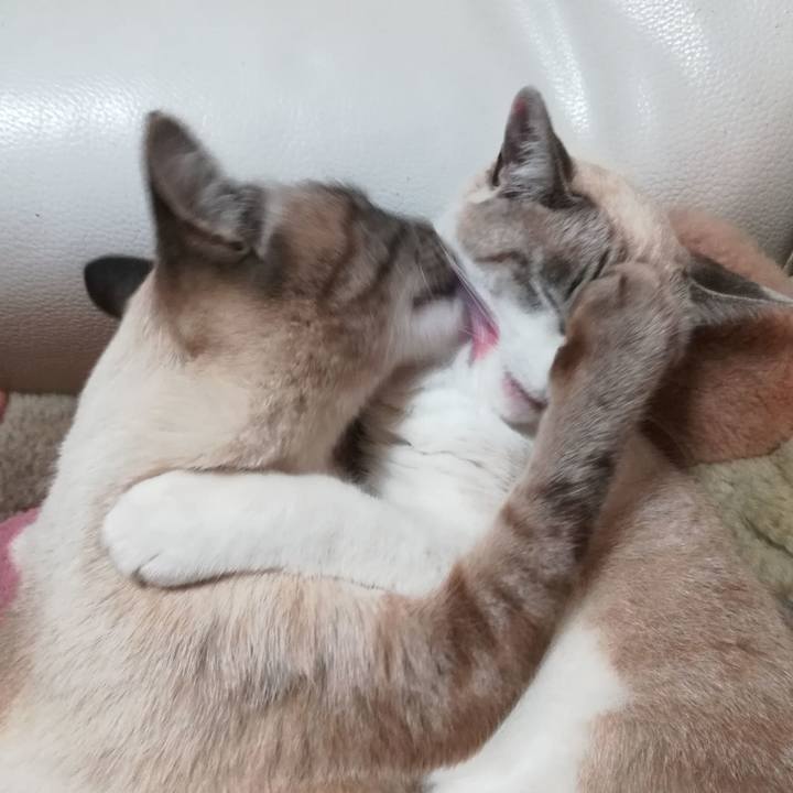 68c8ec16 6fc4 45b1 b069 432ca965761a 1545212361414