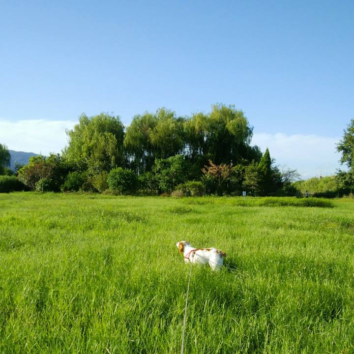 68c8f5fe cdd0 40de af8d e05c6fa58704 1534508783770