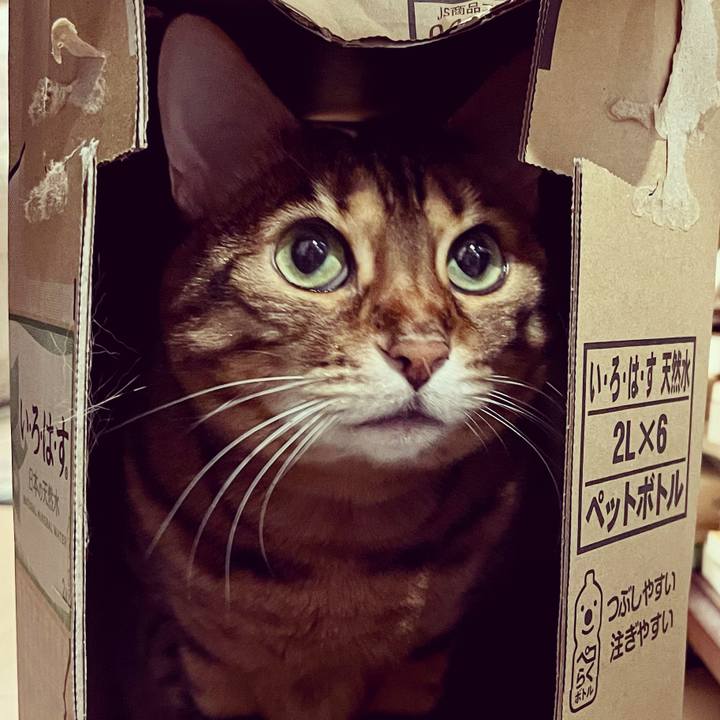 68c91421 a173 4c84 9225 c8ec3f76ee1e 1648079591324