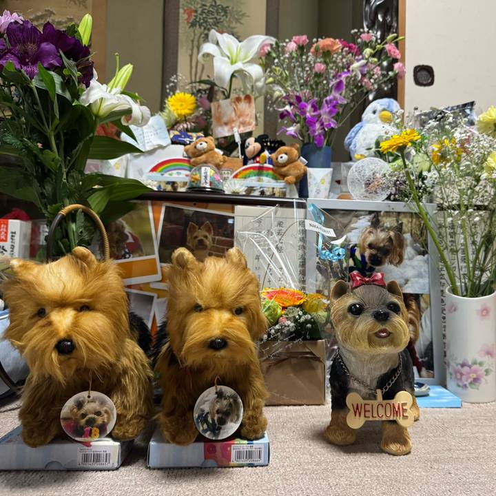 68c935df f104 4bb7 95cb b415ef887440 1745831145706