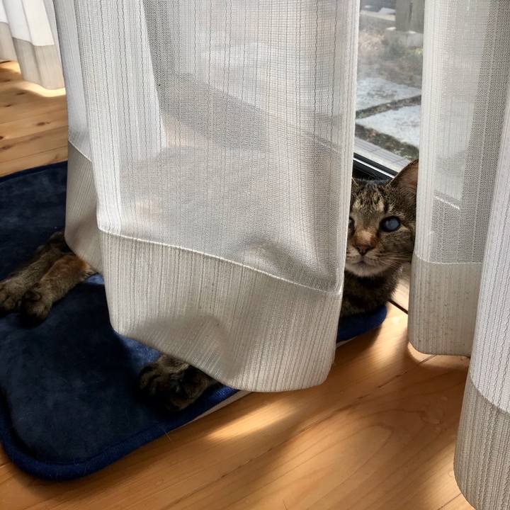 68c9438b 45bb 4188 9aa3 6dba2b5ce1ed 1614929802241