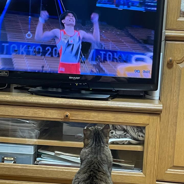 68c990c3 6e59 4543 963c 63850b39f68c 1627812218952