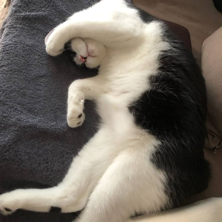 68c99c55 56b2 4a18 8b2b 4ec15ba0d1c6 1630645040842