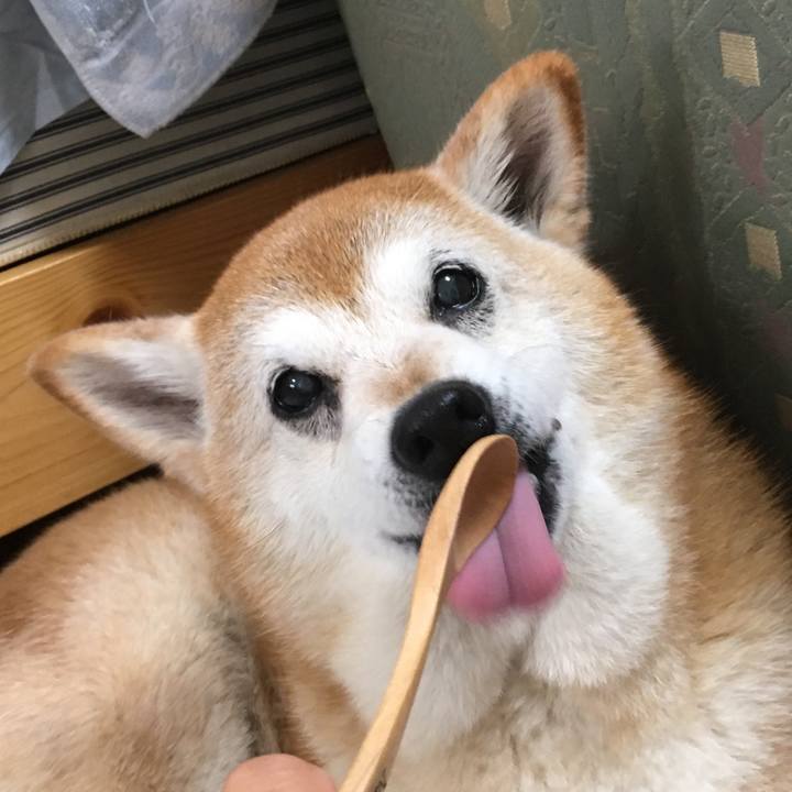 68cad2a1 42d2 4dc9 b356 37ba8eccdf64 1529542468566