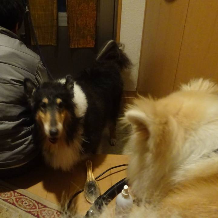 68cae88c 9fe0 47ff 9512 c0caf72f5ad7 1607168922569