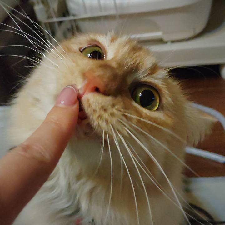 68cb030c 00ee 423c 949b 9a1e630739c0 1673945715549