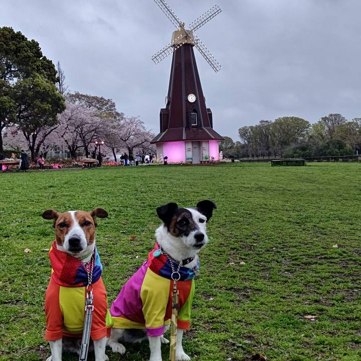 68cb6460 6676 4e32 9280 12b630024bdc 1679748024095