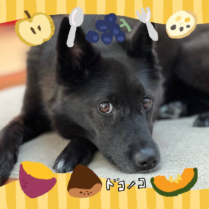 68cb88f3 b257 48d2 8d4a 45cf36bd5cac 1727011643813