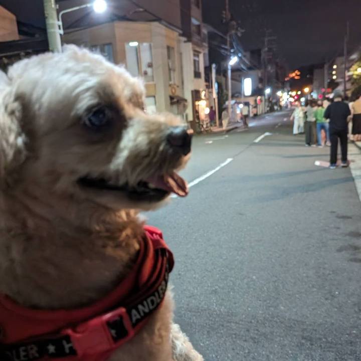 68cb949c 6198 482c 8745 0d39c445e906 1692185140315