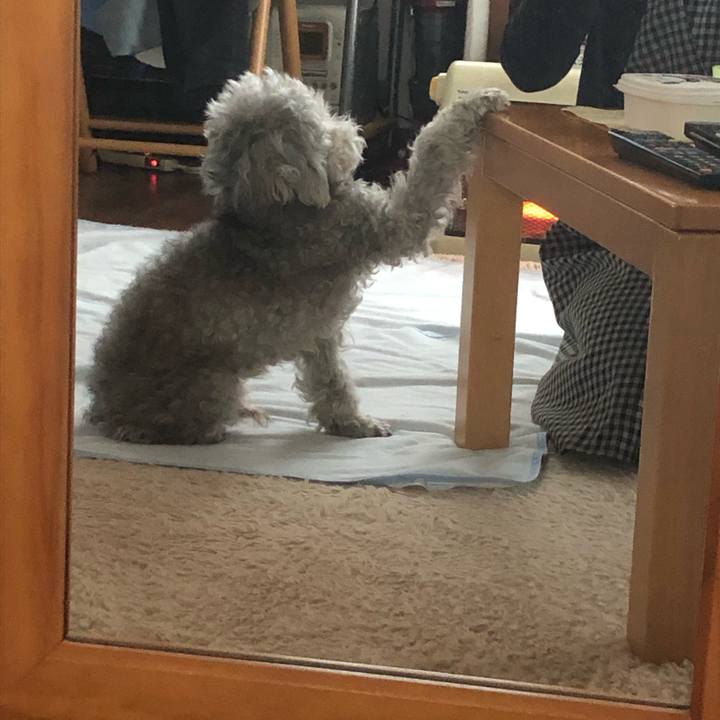 68cbe821 15c4 4174 9a2e 70789f945996 1553814378836