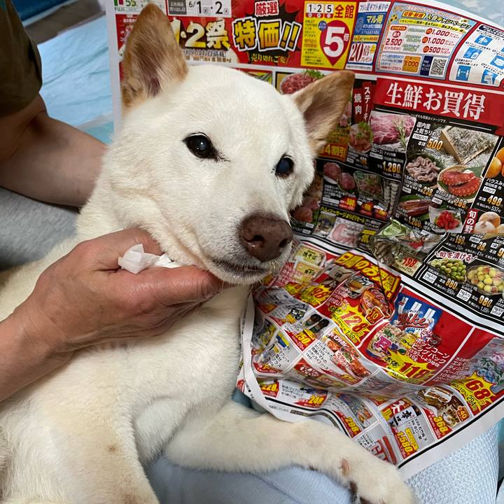 68cbeff4 b473 4e9a bca8 de1f93d00079 1654343168814