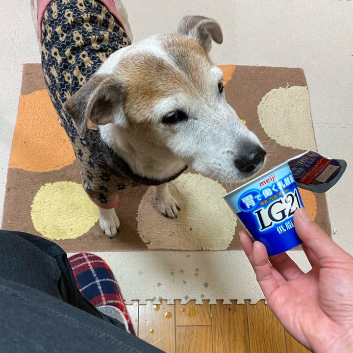 68cc1ba3 ae37 4db6 ad7d 69cb25889276 1608763369281