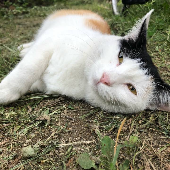 68cc1d96 8d42 44ac 8dab 60ee48a78548 1600163843579