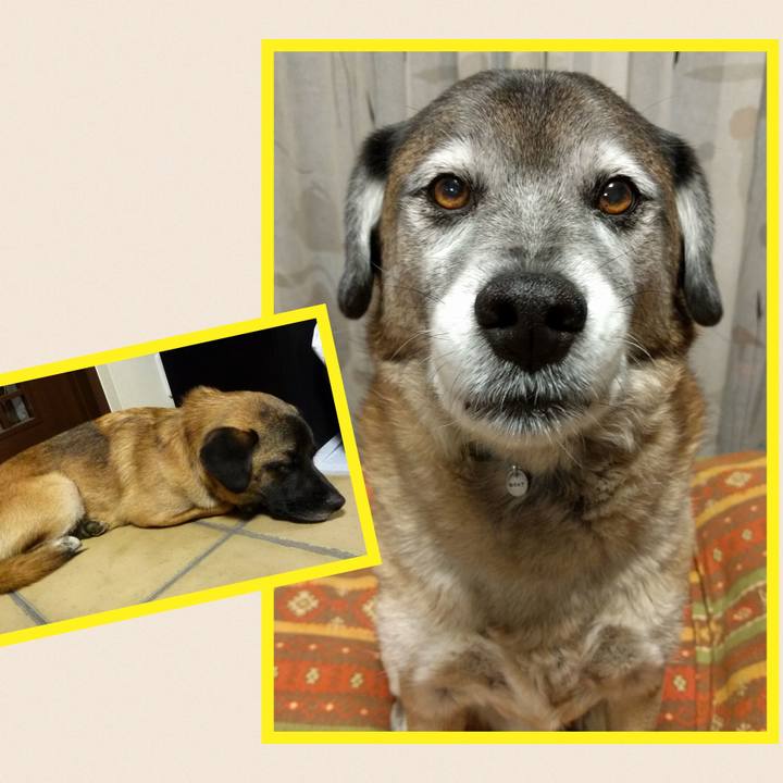 68cc49b0 85f0 4985 a321 13d5b396b8b2 1702082591248