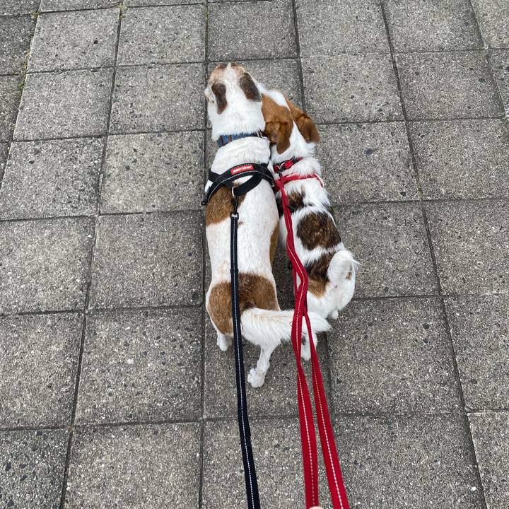 68cc8214 1cc0 4417 9b13 397a3f0ad0e7 1623546979950