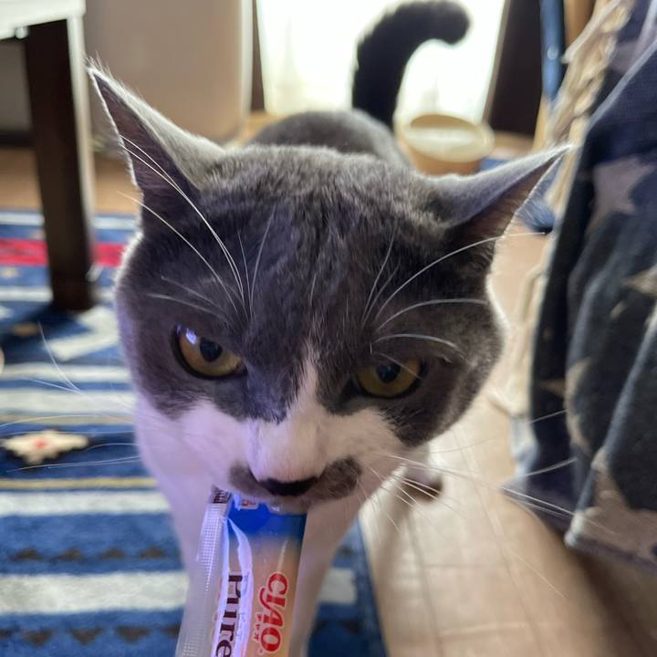 68cc8aba c623 4045 84d1 dbdeaeae77fd 1661151504295