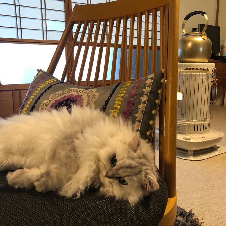 68cc994a c9ec 45e2 9259 11bbad471146 1573892669353