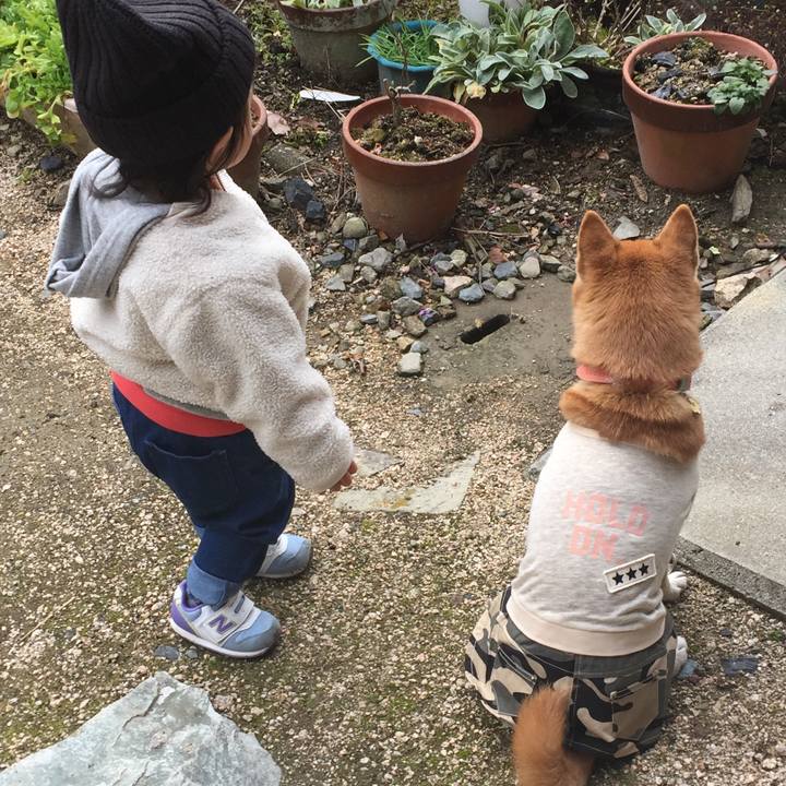 68cc9fe3 417e 4c85 ba2c db1ca5df3c4e 1549110430442