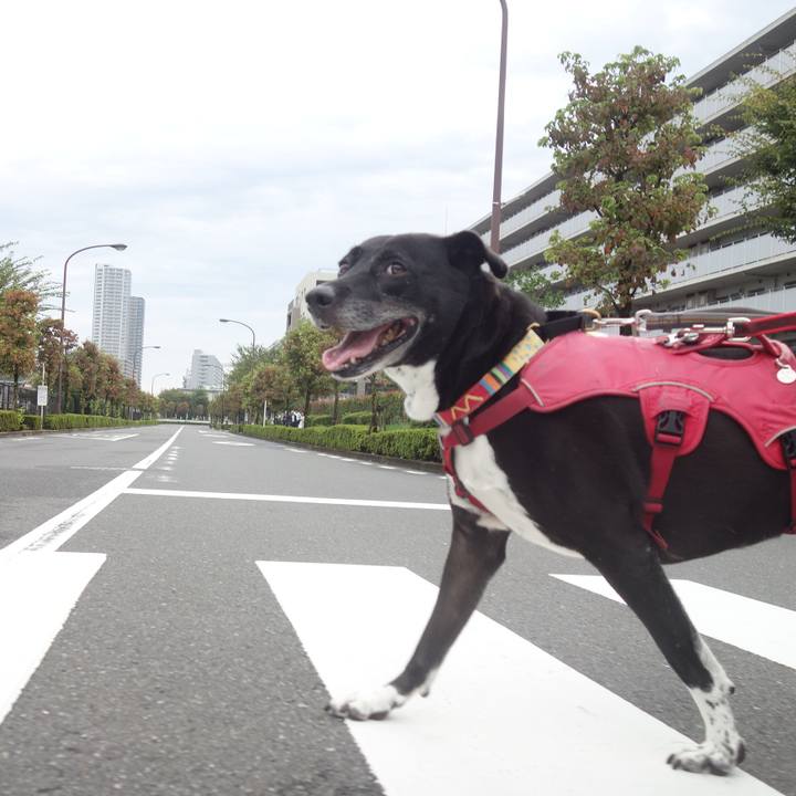 68ccbf85 8153 4885 84d7 fea2053d014c 1696465227993