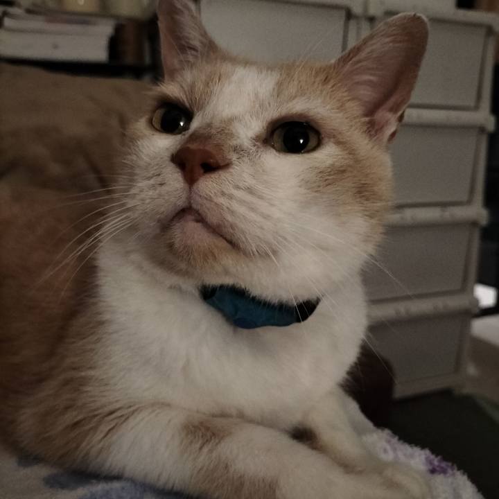 68ccd178 ca6d 4927 8b7b 6ba4524f160b 1660130281369