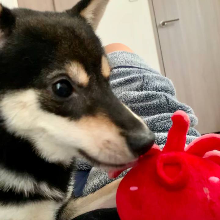 68cd04fd 337b 496f a94f 1d4492ccf6fb 1583193557193