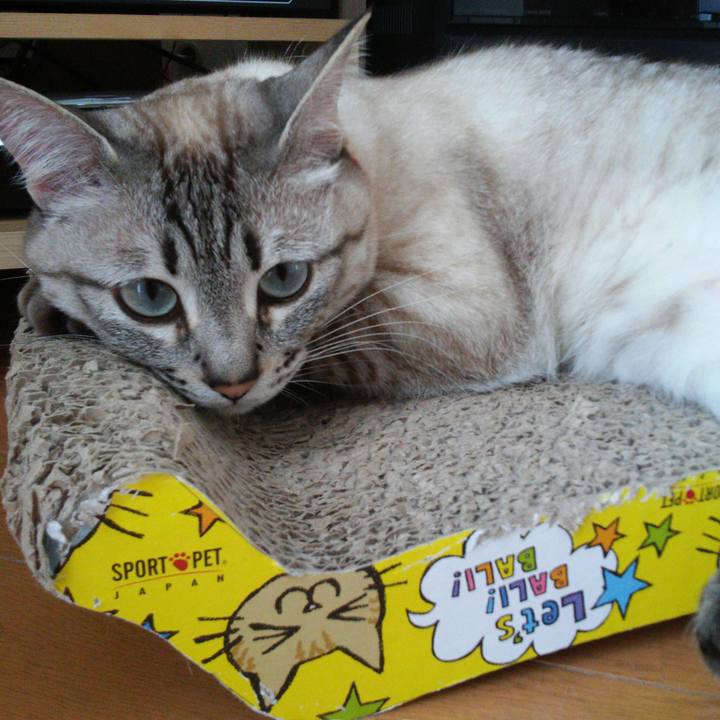 68cd63b1 de44 4da1 97b5 845c3e774315 1526957094357