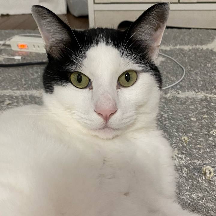 68cd702f f2bc 49d8 881e b1f80d3ea059 1636446379625