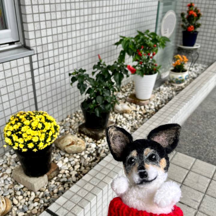 68cd767a c865 4e98 af9d 3d6f6d3e4341 1665225976489