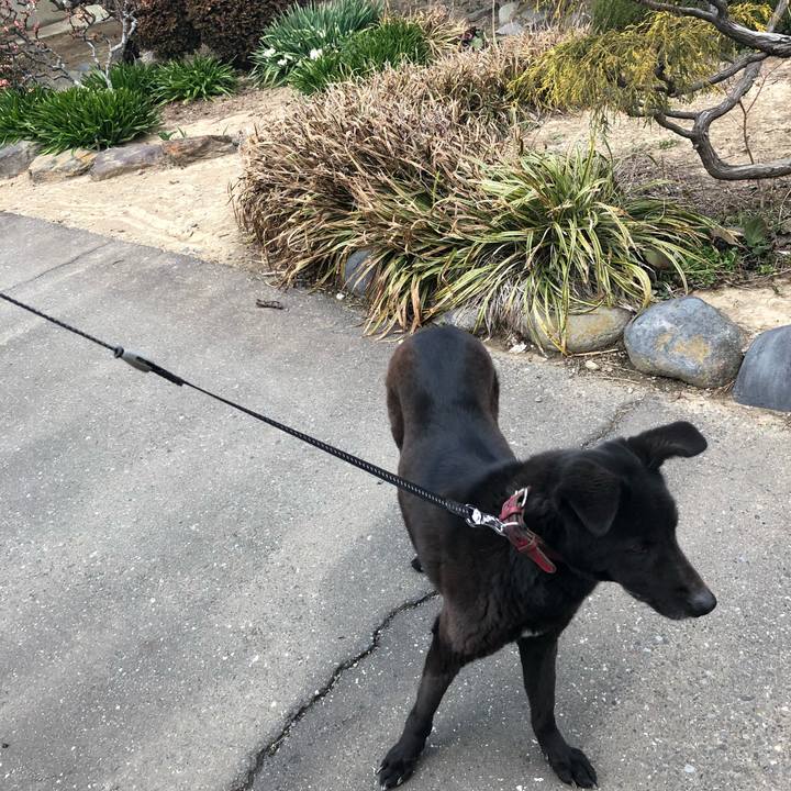 68cd93ce 8829 4f89 ab2d a12b3e1a2387 1552810481202