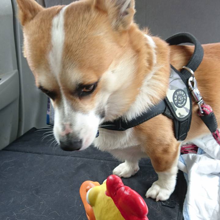 68cddca7 8fdc 475c 9e2a 58d8870f4829 1619924434898